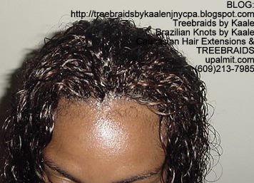 Treebraids with Wet and Wavy human hair Top2175.