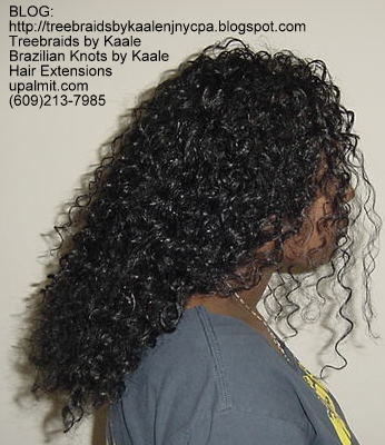 Curly Tree Braids, Right104.