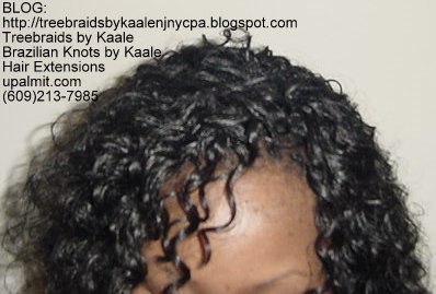 Curly Tree Braids, Top105.