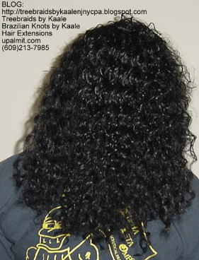 Curly Tree Braids, Back102.