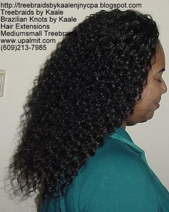 Wavy Tree Braids- Mediumsmall, 118 R.