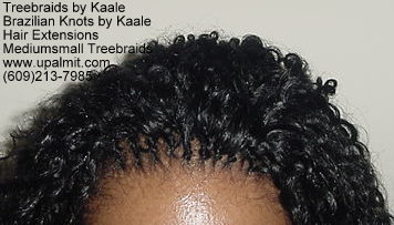 Wavy Tree Braids- Mediumsmall, 119Top.