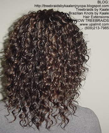 Cornrow Tree Braids Wet n wavy human hair Back181.