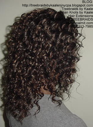 Cornrow Tree Braids Wet n wavy human hair Right183.