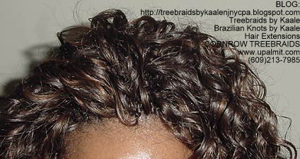 Cornrow Tree Braids Wet n wavy human hair Top184.