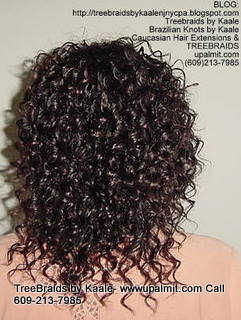 Wavy cornrow Treebraids, Back287.