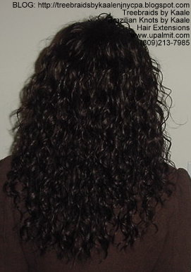 Wavy Tree Braids- Back.