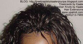 Wavy Tree Braids- Top2.