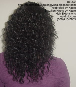 Curly Tree Braids, Backk106.
