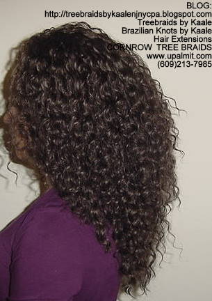 Wavy cornrow Treebraids, Left255.