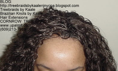 Wavy cornrow Treebraids, Top257.