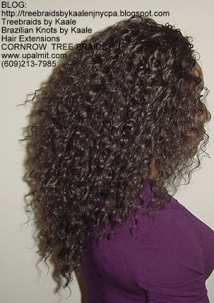 Wavy cornrow Treebraids, Right256.