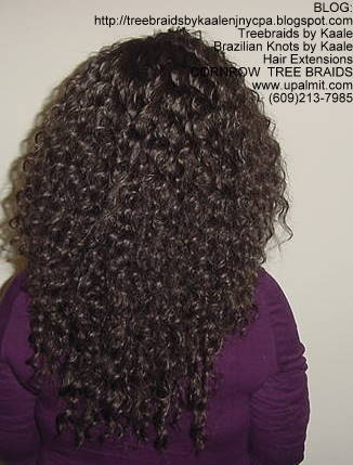 Wavy cornrow Treebraids, Back254.