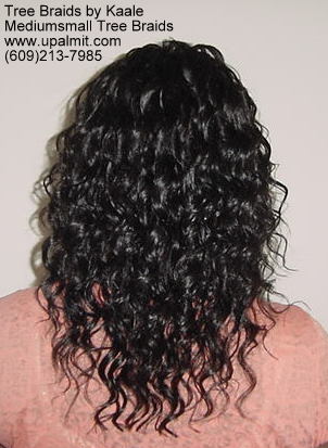 Wavy and curly tree braids.