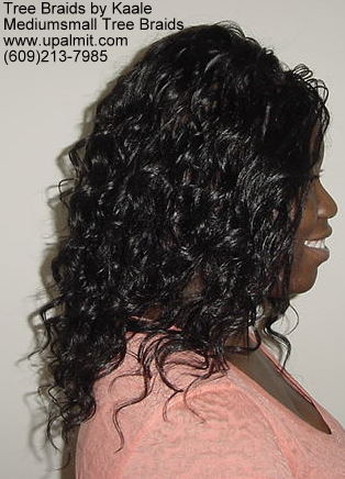 Wavy and curly tree braids.