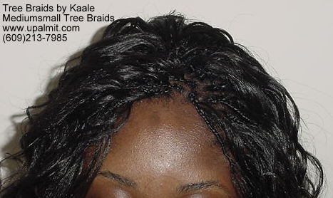 Wavy and curly tree braids.