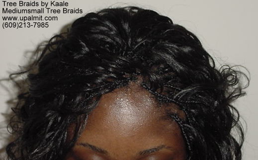 Wavy and curly tree braids.