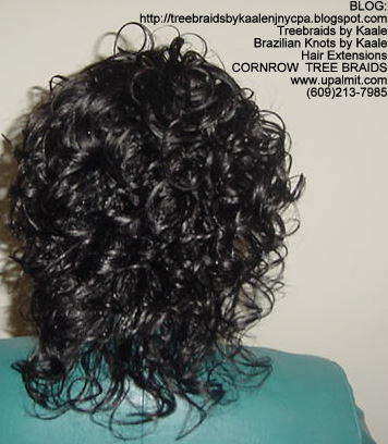 Wavy cornrow Treebraids, Back270.
