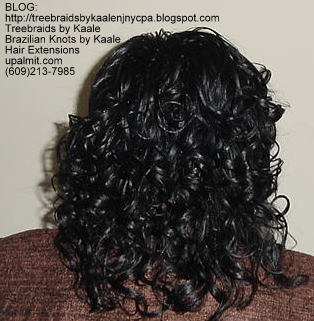 Curly Tree Braids, Kaale Brand hair Back137.