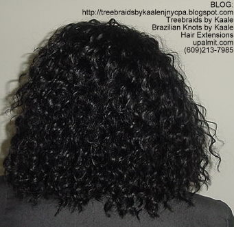 Large Individual Treebraids with Small cornrow treebraids Back2148.