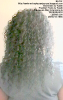 Tree Braids by Kaale- Deep Bulk used Back2468.