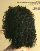 Tree Braids by Kaale- Cornrows with deep bulk hair Cy Left.