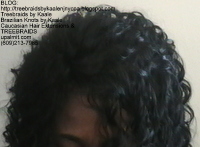 Tree Braids by Kaale- Cornrow treebraids Top2454.