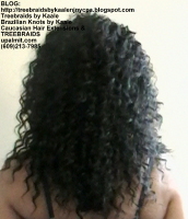 Tree Braids by Kaale- Individuals with curly hair color #1b Back2448.
