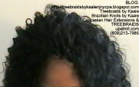 Tree Braids by Kaale- Individuals with curly hair color #1b Top2450.