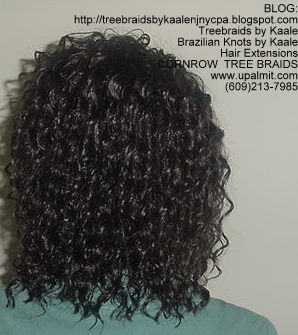 Tree Braids- Wavy Tree Braids Back217 1b.