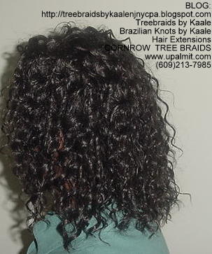 Tree Braids- Wavy Tree Braids Left219 1b.