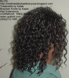 Tree Braids- Wavy Tree Braids Right218 1b.