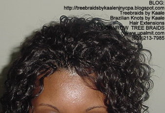 Tree Braids- Wavy Tree Braids Top220 1b.