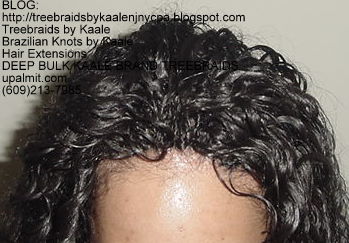 Deep Bulk Wavy KAALE Brand human hair Treebraids Top2163.
