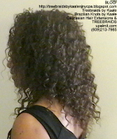 Tree Braids by Kaale- Small Individuals Left2477.