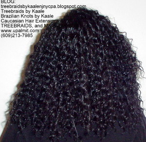 Tree Braids by Kaale- Double Breasted cornrow treebraids with deep bulk as always, back.
