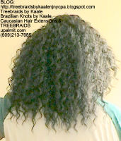 Tree Braids by Kaale- Cornrows Back2497.