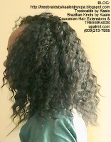 Tree Braids by Kaale- Cornrows Left2498.