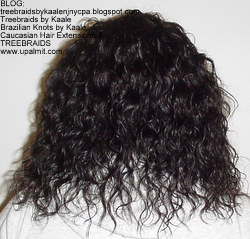 Tree Braids by Kaale- remy hair used for these cornrow treebraids with curly hair, Back 1.