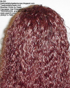 Tree Braids by Kaale- Individual treebraids with wet and wavy hair Back2ManualMix2279.