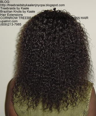 Kinky Curly KAALE Brand human hair Treebraids Back2164.