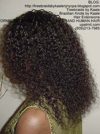 Kinky Curly KAALE Brand human hair Treebraids Left2165.