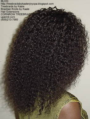 Kinky Curly KAALE Brand human hair Treebraids Right2166.