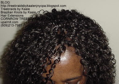 Kinky Curly KAALE Brand human hair Treebraids Top2167.