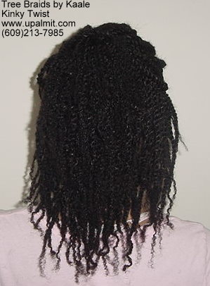 Kinky twists with human hair- back view.