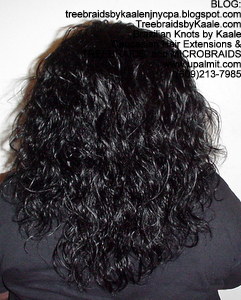 Tree Braids by Kaale- Indian remy hair in individual treebraids Bk2.