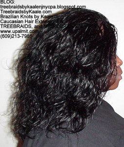 Tree Braids by Kaale- Indian remy hair in individual treebraids, Right2264.