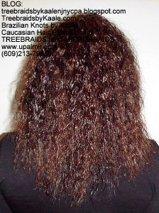 Tree Braids by Kaale- Small Cornrow treebraids hair Back2718.