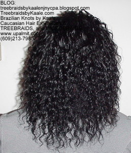 Tree Braids by Kaale- cornrow treebraids with Brazilian hair from RemyHairSales.com, Back.