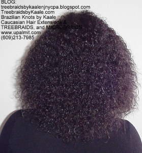 Tree Braids by Kaale, cornrow treebraids SmallMedium size Bk2013.